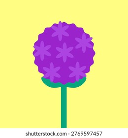 Vector illustration with isolated icon of Allium on yellow background. Beautiful flower with purple button, green stem. Ornamental onion is designed in flat minimalist style with simplified shapes