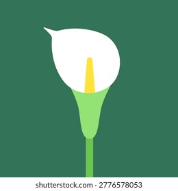 Vector illustration with isolated icon of Calla on green background. Beautiful flower with white petals. Bog arum is designed in flat minimalist style with simplified shapes