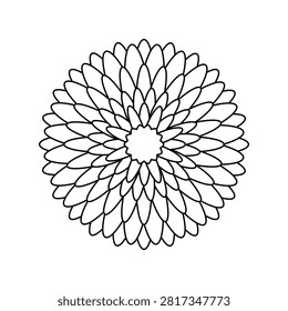 Vector illustration with isolated icon of Chrysanthemum on white background. Beautiful flower with petals. Chrysanth is designed in flat minimalist style with black outline