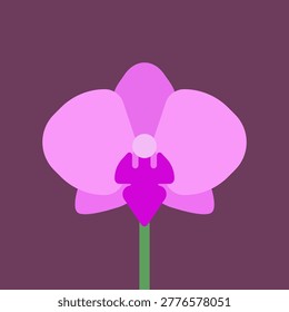 Vector illustration with isolated icon of Orchid on purple background. Beautiful flower with pink petals. Orchidaceae is designed in flat minimalist style with simplified shapes