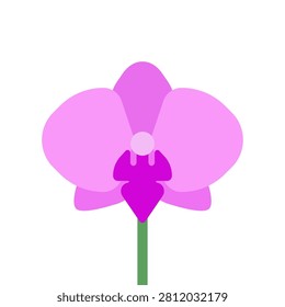 Vector illustration with isolated icon of Orchid on white background. Beautiful flower with pink petals. Orchidaceae is designed in flat minimalist style with simplified shapes