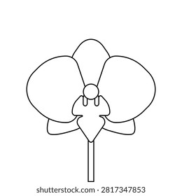 Vector illustration with isolated icon of Orchid. Beautiful flower. Orchidaceae is designed in flat minimalist style. Black outline on white background
