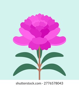 Vector illustration with isolated icon of peony on light mint background. Beautiful flower with pink petals. Paeony is designed in flat minimalist style with simplified shapes