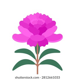 Vector illustration with isolated icon of peony on white background. Beautiful flower with pink petals. Paeony is designed in flat minimalist style with simplified shapes