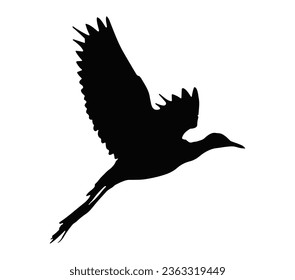 Ilustración vectorial de una silueta aislada de jacamar.