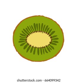 Vector illustration of isolated kiwi fruit