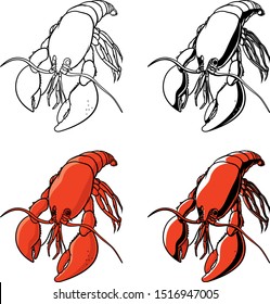 vector illustration of an isolated living  lobster rendered in four versions in black and white and color