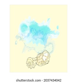 Vector Illustration of an isolated marine mockup. Drawing of shells as a blank for designers, wedding invitation, postcard, printing on textiles, stickers
