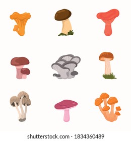 Vector illustration of isolated mushrooms. Useful mushrooms. Icons  chanterelle, russule, stubby-stalk, oyster.