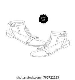 Vector Illustration Of Isolated Objects Sandal Shoes. Drawing Graphic Design For Woman, Girl And Lady. Footwear For Summer