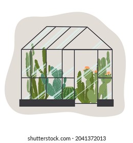 Ilustración vectorial aislada en un invernadero de fondo claro con cactus de diferentes tamaños y formas

