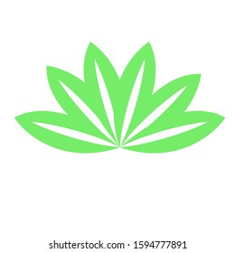 Vector illustration, isolated on a white. Leaves.