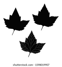 Vector illustration, isolated on a white. Leaves.