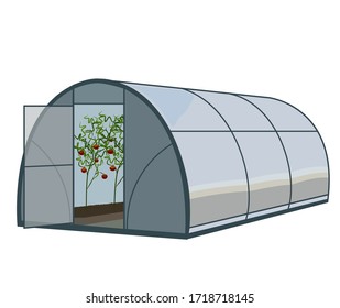 Vector illustration isolated on white background greenhouse with tomatoes for growing vegetables