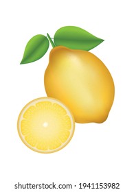Vector illustration isolated on a white background. A slice of lemon. Fresh citrus, half-chopped and whole lemon with zest for lemonade juice or vitamin c logo. Realistic lemon with green leaves.
