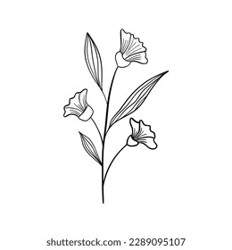 Vektorgrafik einzeln auf weißem Hintergrund. Schwarze Linien blüht Symbole gesetzt. Vektorgrafik einzeln auf Blumen.