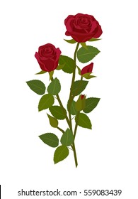 Vector Illustration isolated on white background : flower rose The media on the subject of love and symbol of Valentine's Day.
