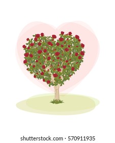 Vector Illustration isolated on white background : tree fancy bush flower many roses and heart background the media on the subject of love and symbol of Valentine's Day.