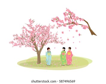 Vector Illustration isolated on white background : Cartoon group friend womans wearing a kimono traipse sightseeing cherry tree full of flower sakura in the spring annual season of Japanese