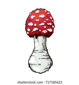 Vector illustration isolated on white background. Amanita mushroom.