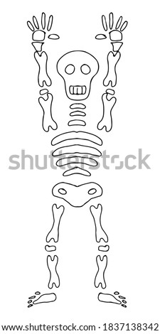 vector illustration isolated on white background hand drawing skeleton