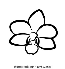 Vector illustration, isolated orchid flower in black and white colors