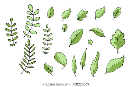 Vector illustration of isolated outline colorful leaves