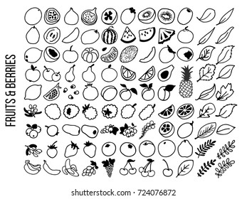 Vector illustration of isolated outline fruits. Black fruit icon on white background