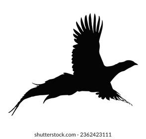 Vector illustration of an isolated pheasant silhouette.