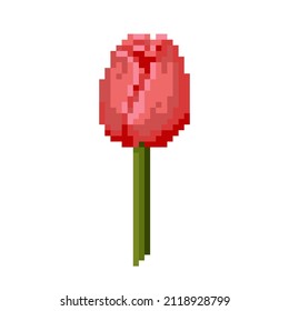 Vector illustration of an isolated pixel pink red tulip bud on a white background. 8 bit retro game art style. Women's Day. March. Spring. Holiday decoration