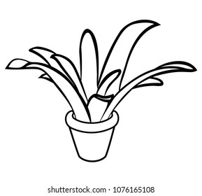 Vector illustration, isolated plant in pot in black and white colors