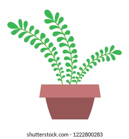 Vector illustration, isolated potted plant, flat style. Can be used as interior element, applicable for bright home decorations leaflets, hygge illustrations etc.
