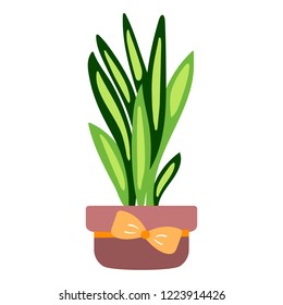 Vector illustration, isolated potted plant, flat style. Can be used as interior element, applicable for bright home decorations leaflets, hygge illustrations etc.