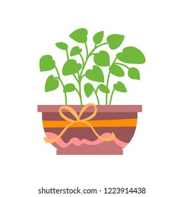 Vector illustration, isolated potted plant, flat style. Can be used as interior element, applicable for bright home decorations leaflets, hygge illustrations etc.