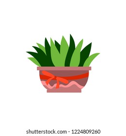 Vector illustration, isolated potted plant, flat style. Can be used as interior element, applicable for bright home decorations leaflets, hygge illustrations etc.