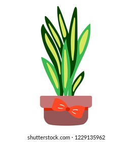 Vector illustration, isolated potted plant, flat style. Can be used as interior element, applicable for bright home decorations leaflets, hygge illustrations etc.