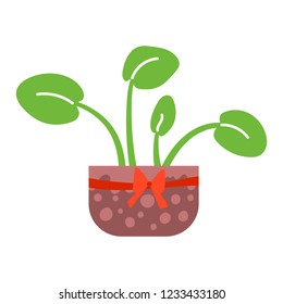 Vector illustration, isolated potted plant, flat style. Can be used as interior element, applicable for bright home decorations leaflets, hygge illustrations etc.