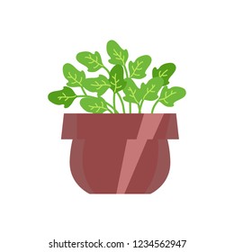 Vector illustration, isolated potted plant, flat style. Can be used as interior element, applicable for bright home decorations leaflets, hygge illustrations etc.