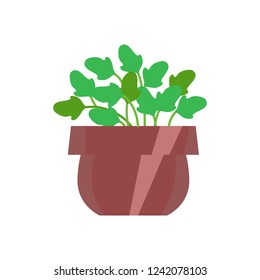 Vector illustration, isolated potted plant, flat style. Can be used as interior element, applicable for bright home decorations leaflets, hygge illustrations etc.