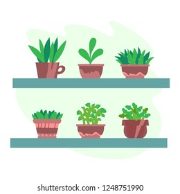 Vector illustration, isolated potted plants on a shelf, flat style. Can be used as interior element, applicable for bright home decorations leaflets, hygge illustrations etc.