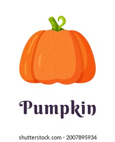 Vector illustration of an isolated pumpkin on a white background. Halloween pumpkin icon. Silhouette of an orange pumpkin.