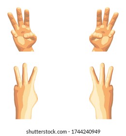 Vector illustration.Set of isolated realistic human hands showing different gestures,signs or numbers,seen from different sides,front and back.