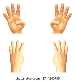 Vector illustration.Set of isolated realistic human hands showing different gestures,signs or numbers,seen from different sides,front and back.