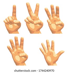 Vector illustration.Set of isolated realistic human hands showing different gestures,signs or numbers,seen from different sides,front and back.