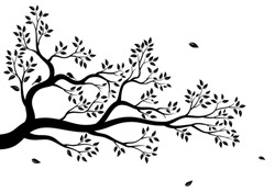 Vektorillustration-Illustration Eines Isolierten, Realistischen Baumzweigs Mit Blättern Und Zwei Vögeln, Schwarz, Auf Weißem Hintergrund. Wandaufkleber.