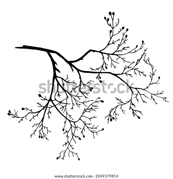 Vector Illustration Isolated Realistic Tree Branch Stock Vector ...