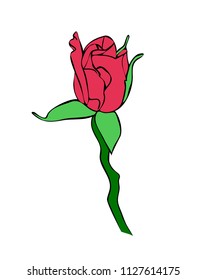 Vector illustration, isolated red rose flower bud, outline hand painted drawing
