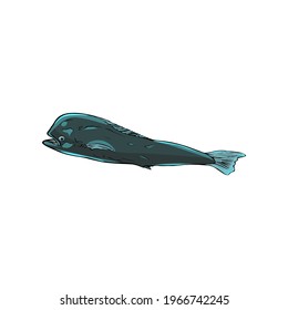 Vector Illustration of isolated sea fish. Underwater animals for printing on logo, icon, eco, vegans, travel
