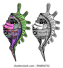 Vector illustration of isolated sea shells colored and black white shells on white background