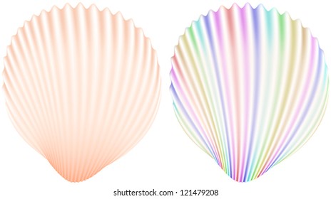 Vector illustration of isolated Shell.